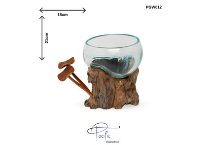 Glass pot On wood L