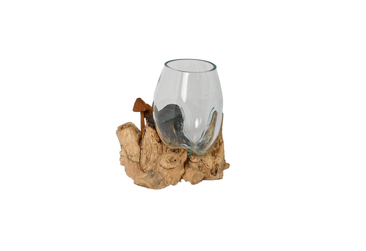 Glass pot On wood M